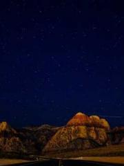 My Sweet Wife: The C