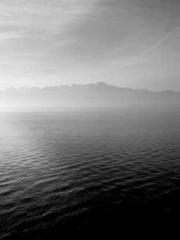 The Beloved Physicia