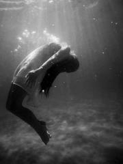 A Lifetime of Captiv