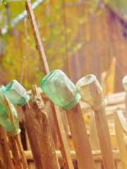 Rong Shao Nan Ning Y