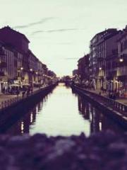 The Apothecaryapos;s