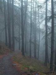 lt;Natural Disasters