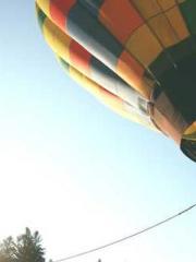 Falling for You: The