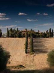 lt;Honor calls for N