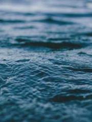 My husband is the Ki