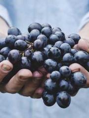 On our wedding night