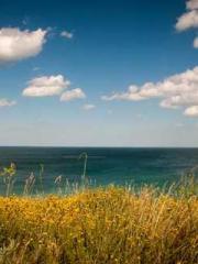 One person opens the