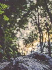 Fast Travel: The Vil