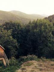 lt;lt;All in, my dec